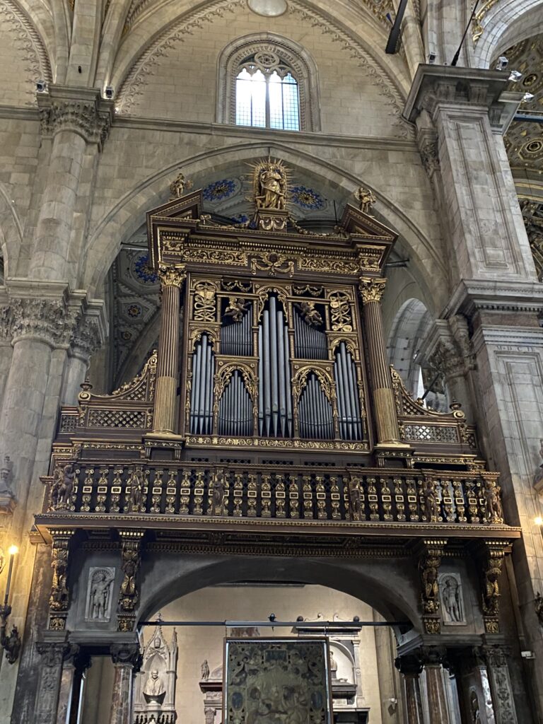 Seitliche Orgel