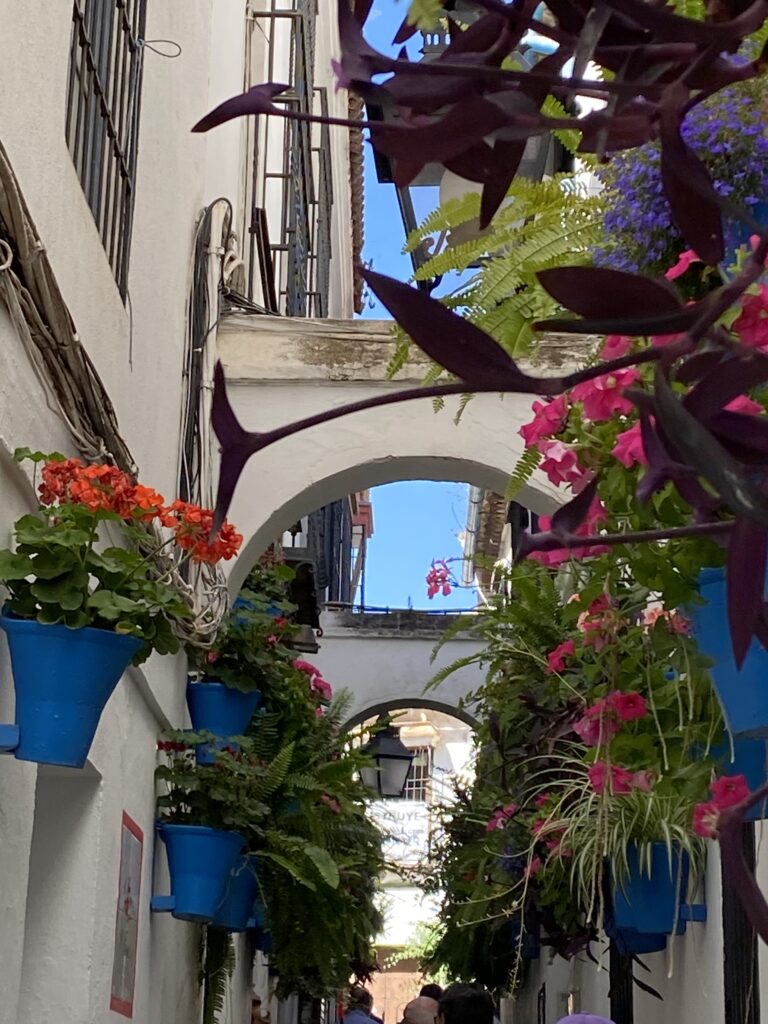 Blumen in der Calleja de las Flores