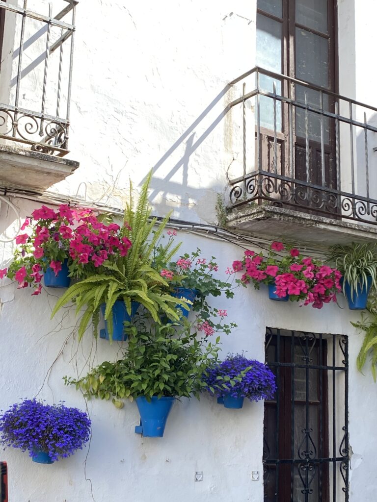 Calleja de las Flores