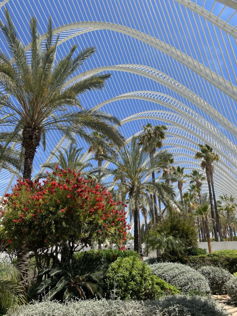 Botanischer Garten