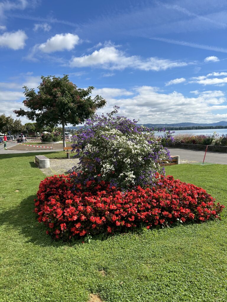Blumenmeer am Lac Léman