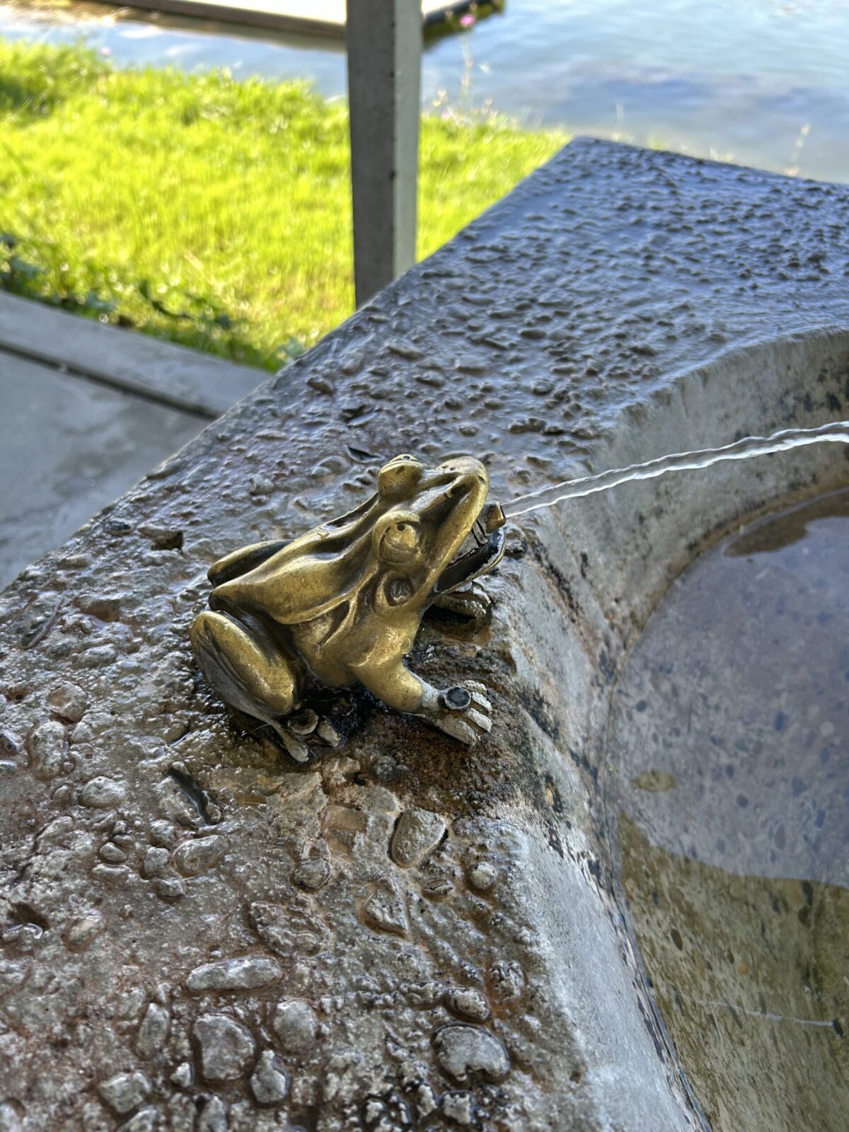 Froschbrunnen in Yverdon