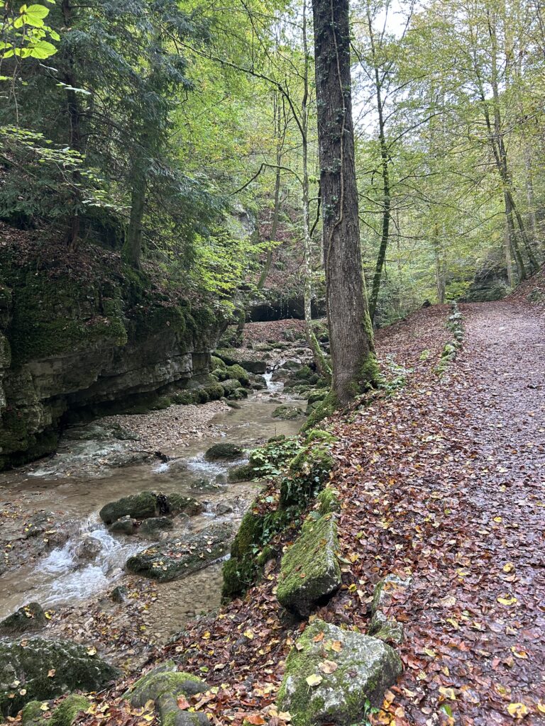 Der Weg verläuft mal links, mal rechts des Baches