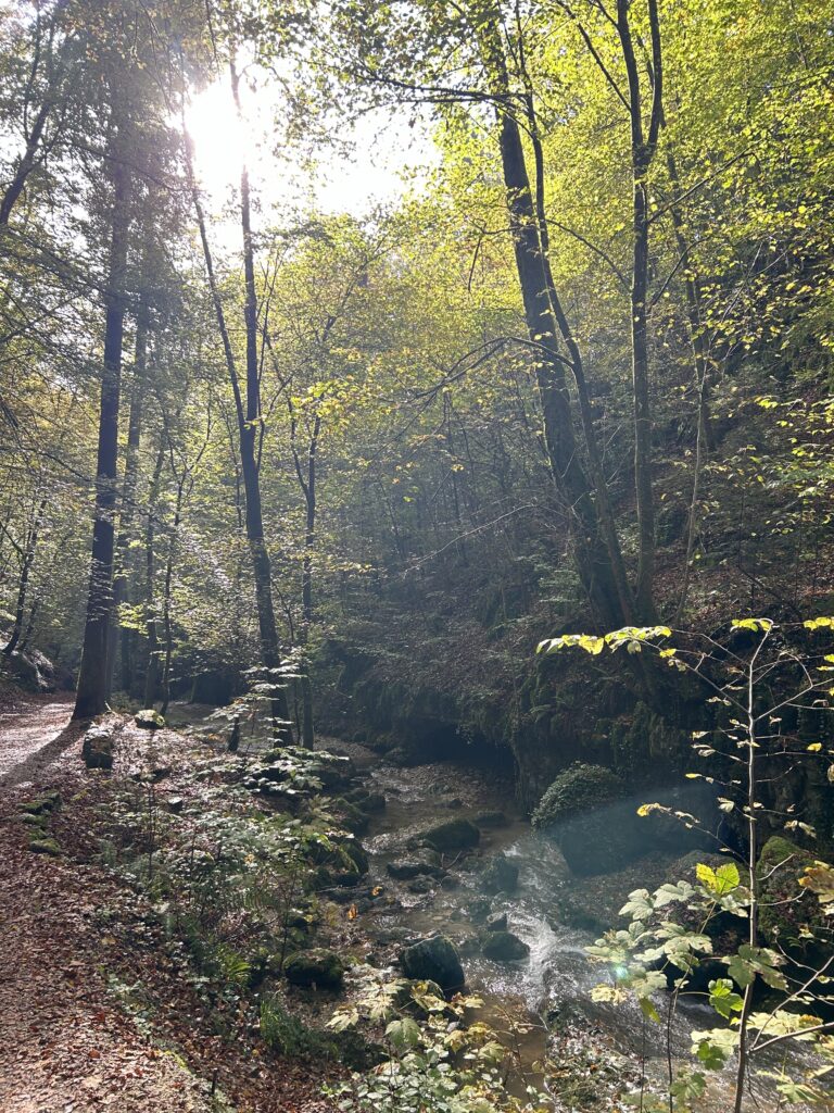 Die Sonne beinahe mystisch durch den Dunst