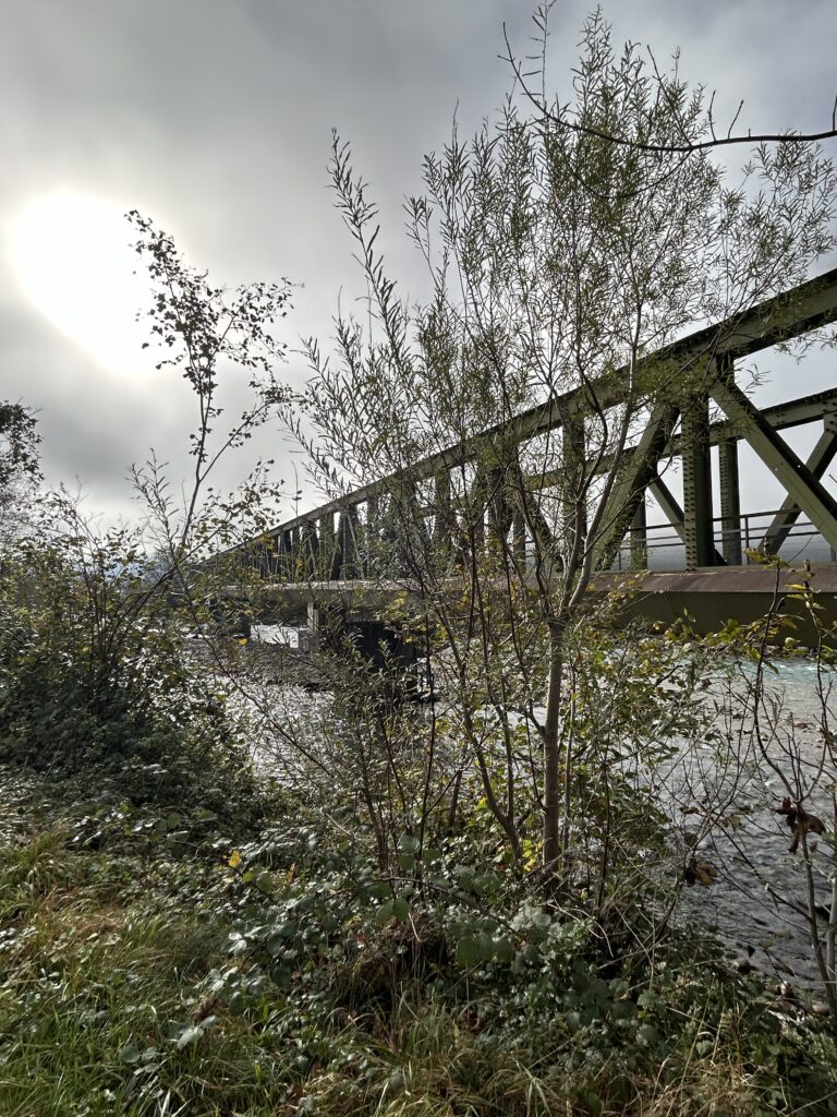 Kriegsbrücke über die Reuss im Nebel