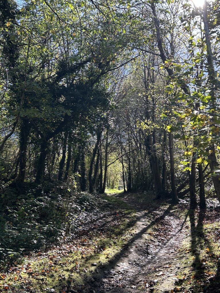 Weg an der Sonne