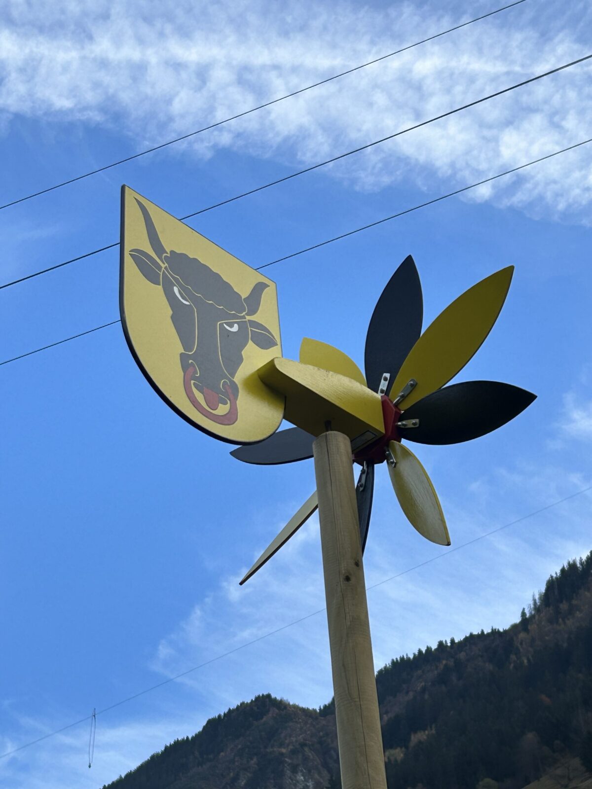 Uri-Stier als Windredli