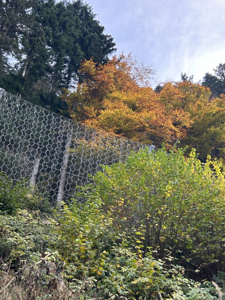 Herbstfarben mit Netzmuster