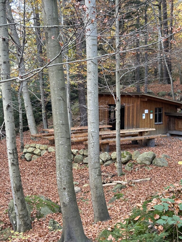 Rasten mitten im Wald