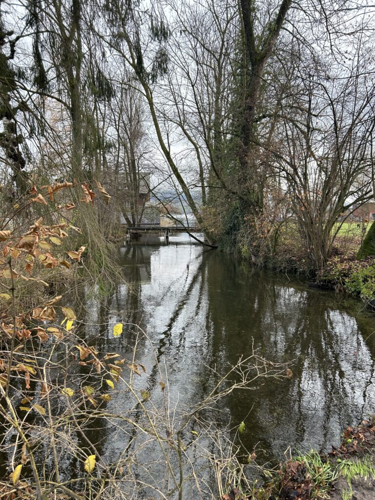 Der noch jungfräuliche Fluss mit See im Hintergrund