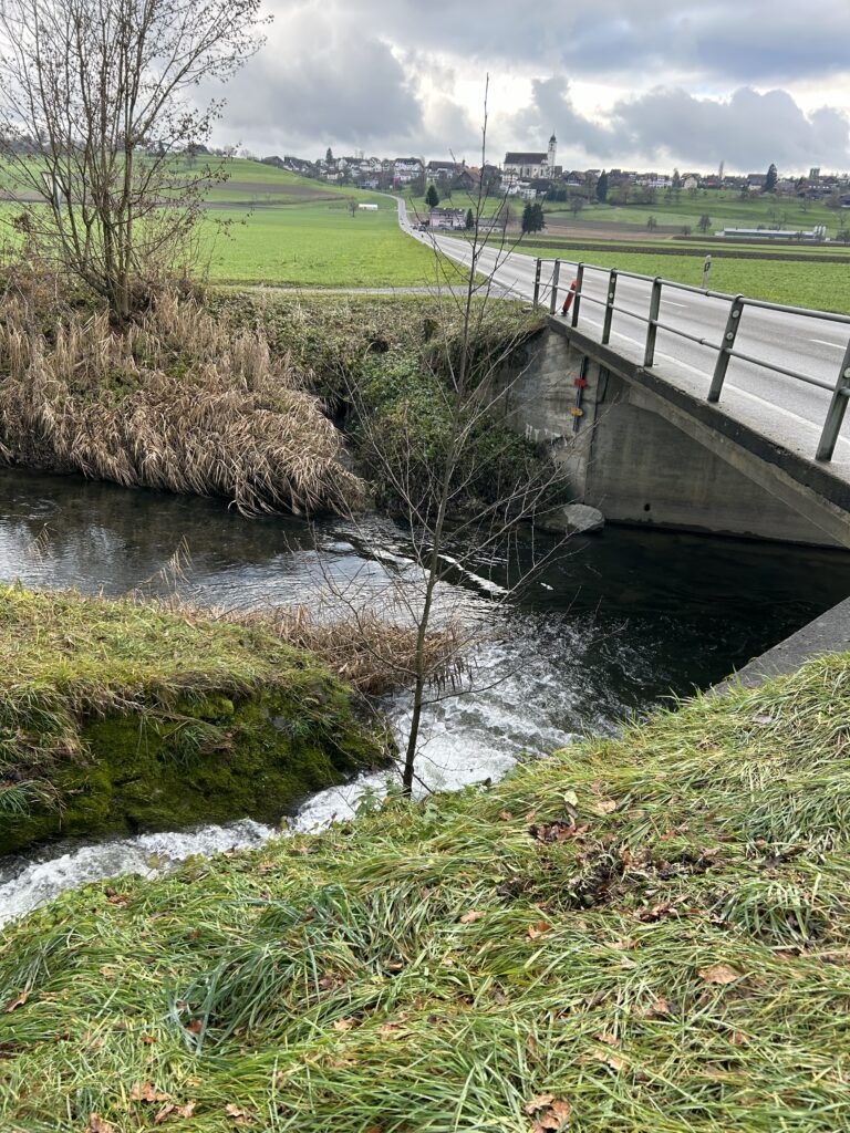 Knutwil im Hintergrund