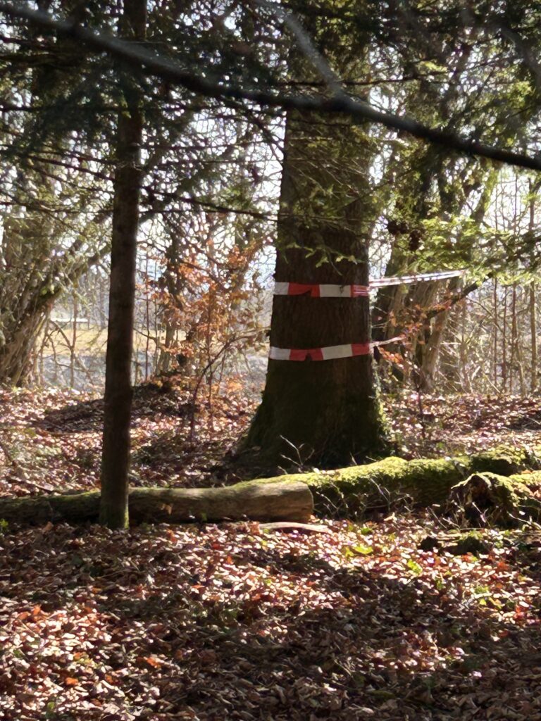 Absperrband mitten im Wald
