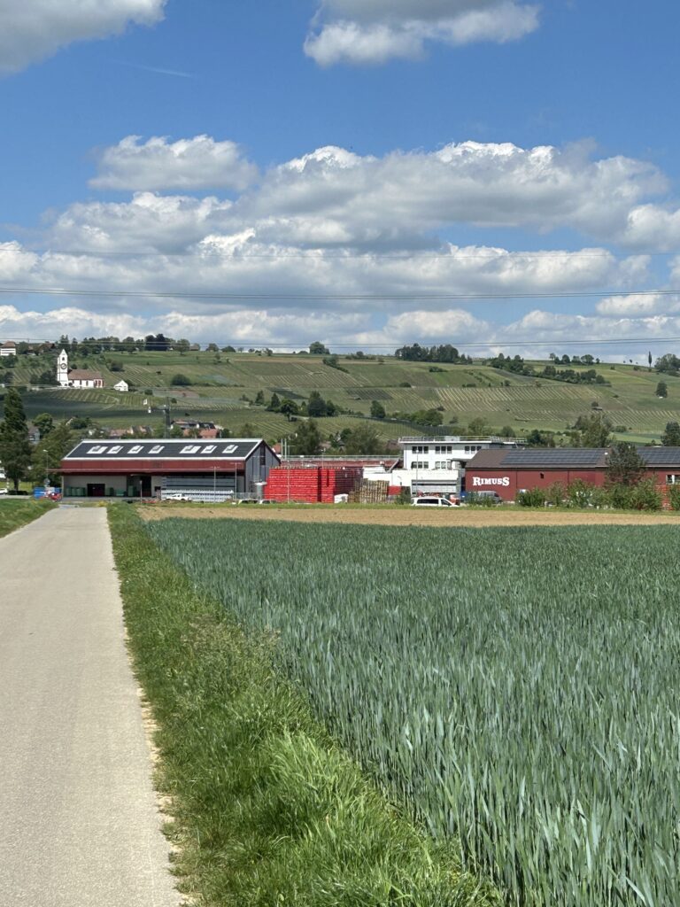 Blick auf die Rimuss-Kellerei und die Rebberge