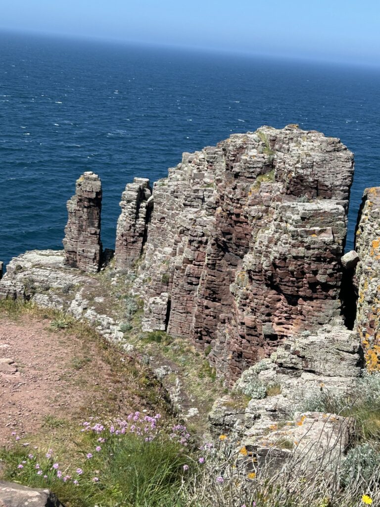 Klippen am Cap Fréhel