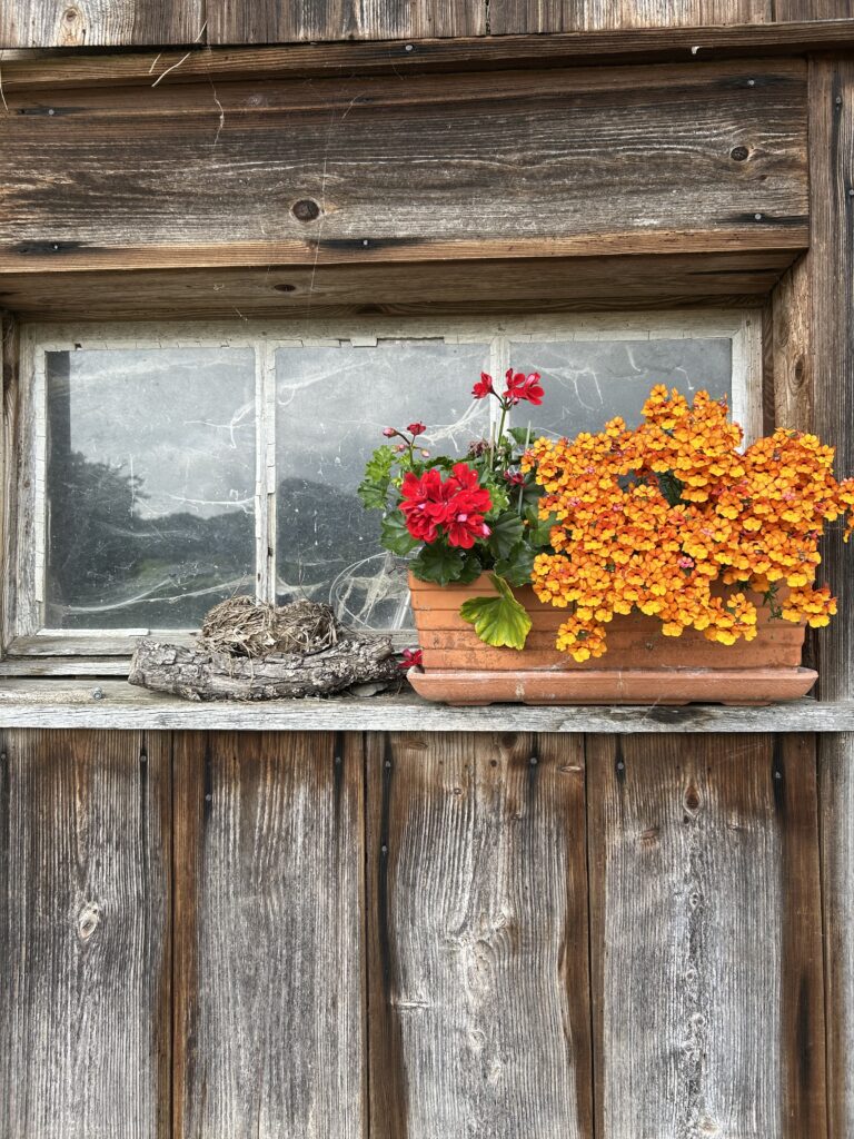 Blumiges Dekor am Stall