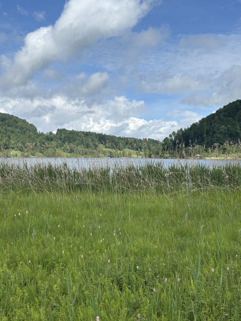 Am Ufer des Türlersees