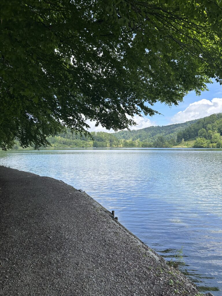 Spazierweg am Ufer