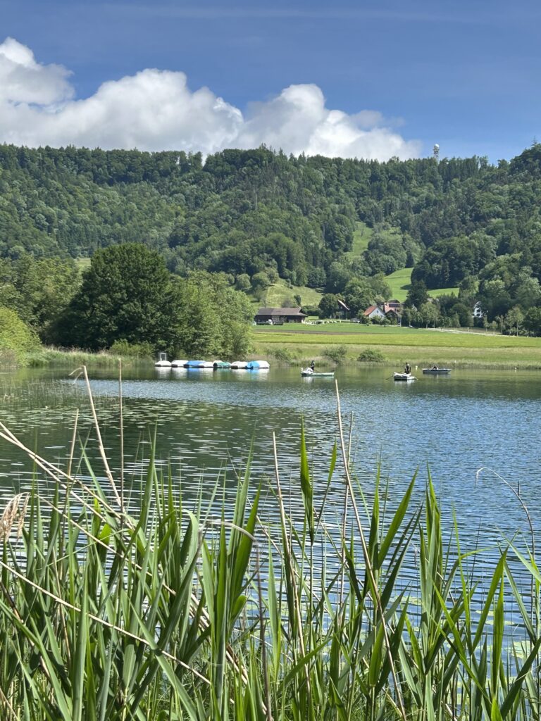 Türlersee vor dem Türlerberg
