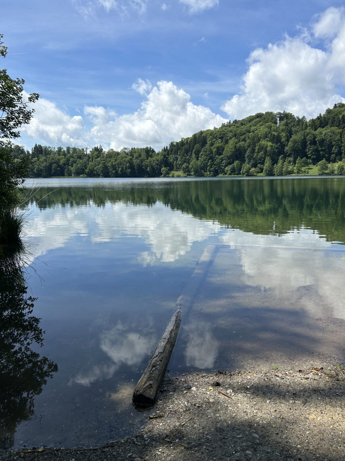 Der Himmel spiegelt sich im Türlersee