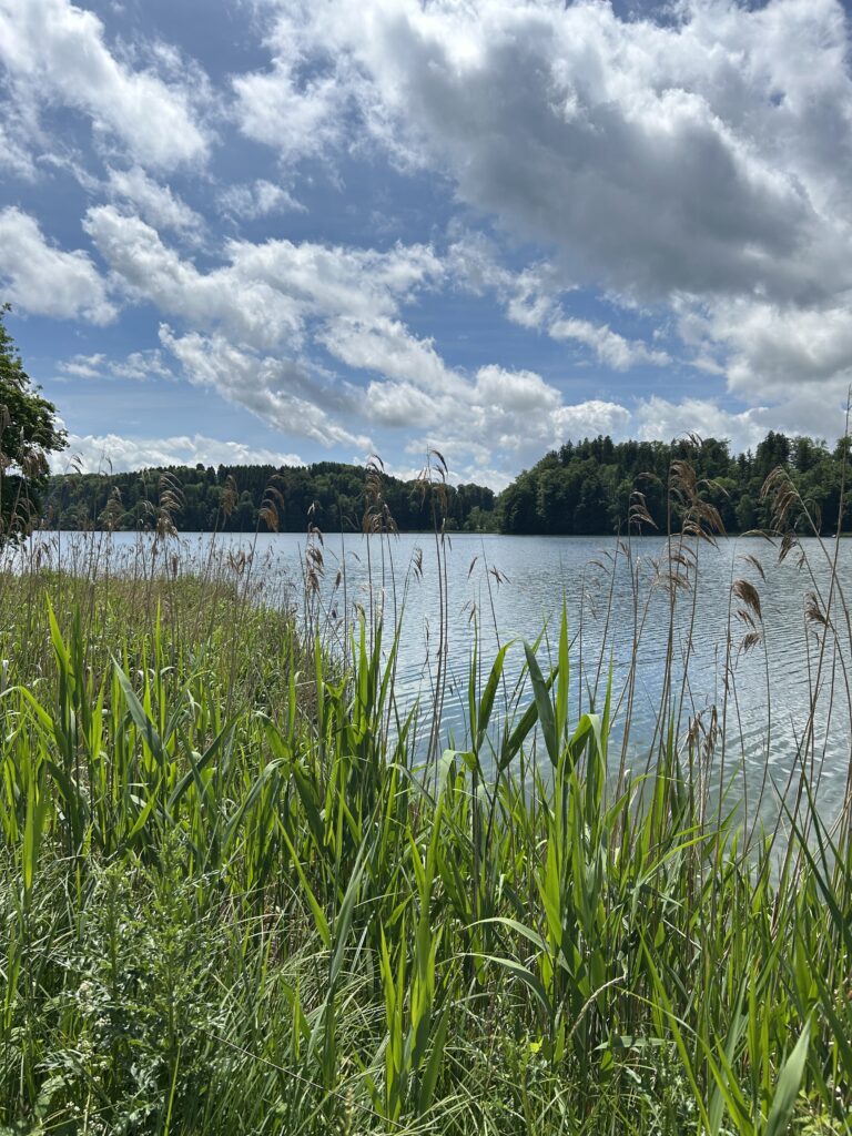 Am Türlersee