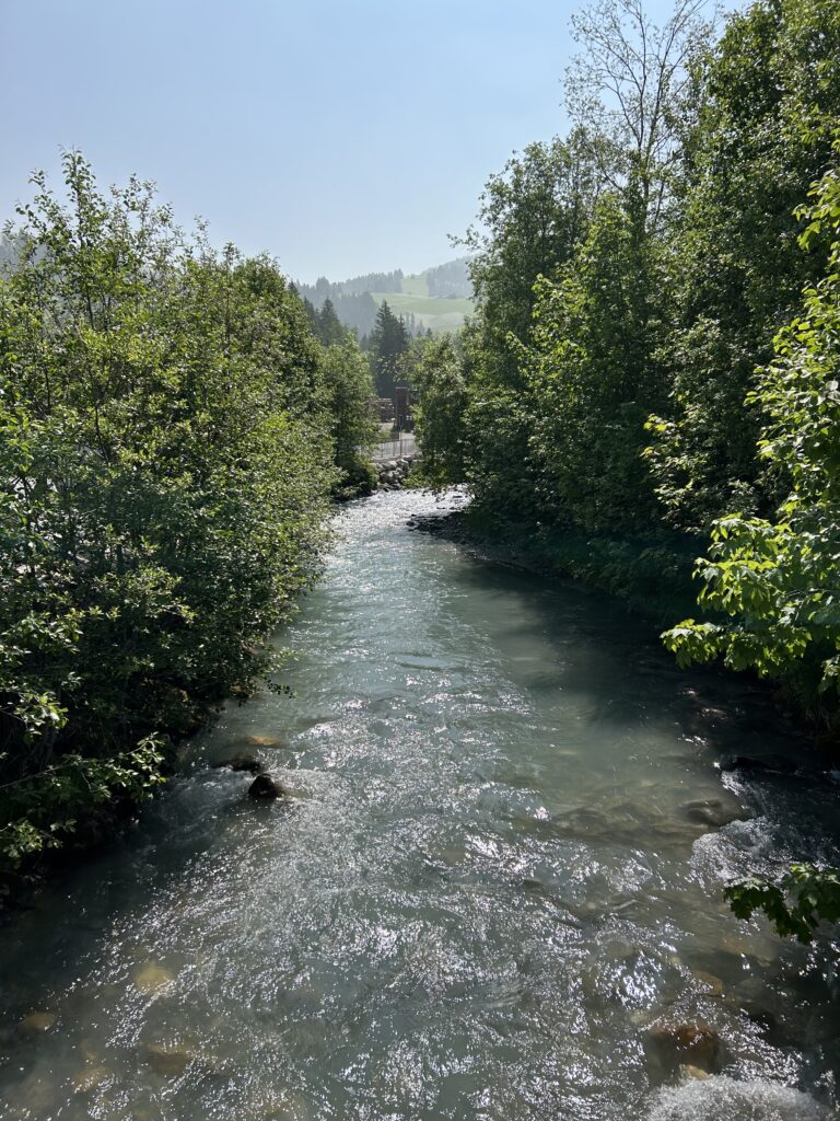 Auf der Rohrbrücke über dem Louwibach