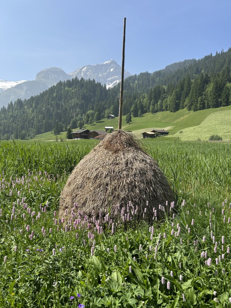 Kugeliger Heustock