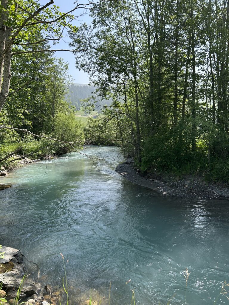 Bergwasser vom Louwibach