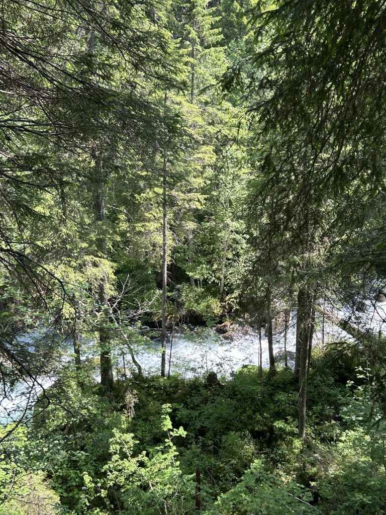 Blick hinunter zum Bach
