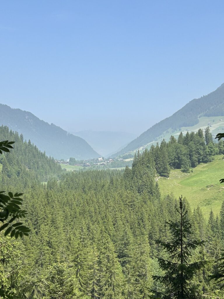 Blick zurück durchs Lauenental