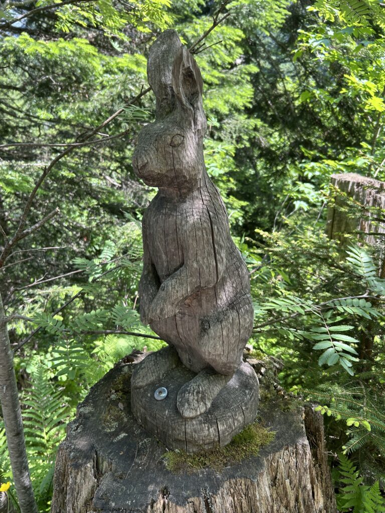 Feld- oder Osterhase?