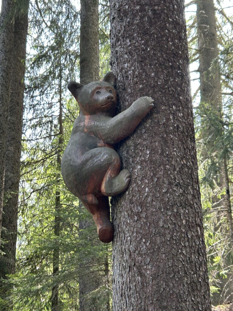 Putziger Bäremutz