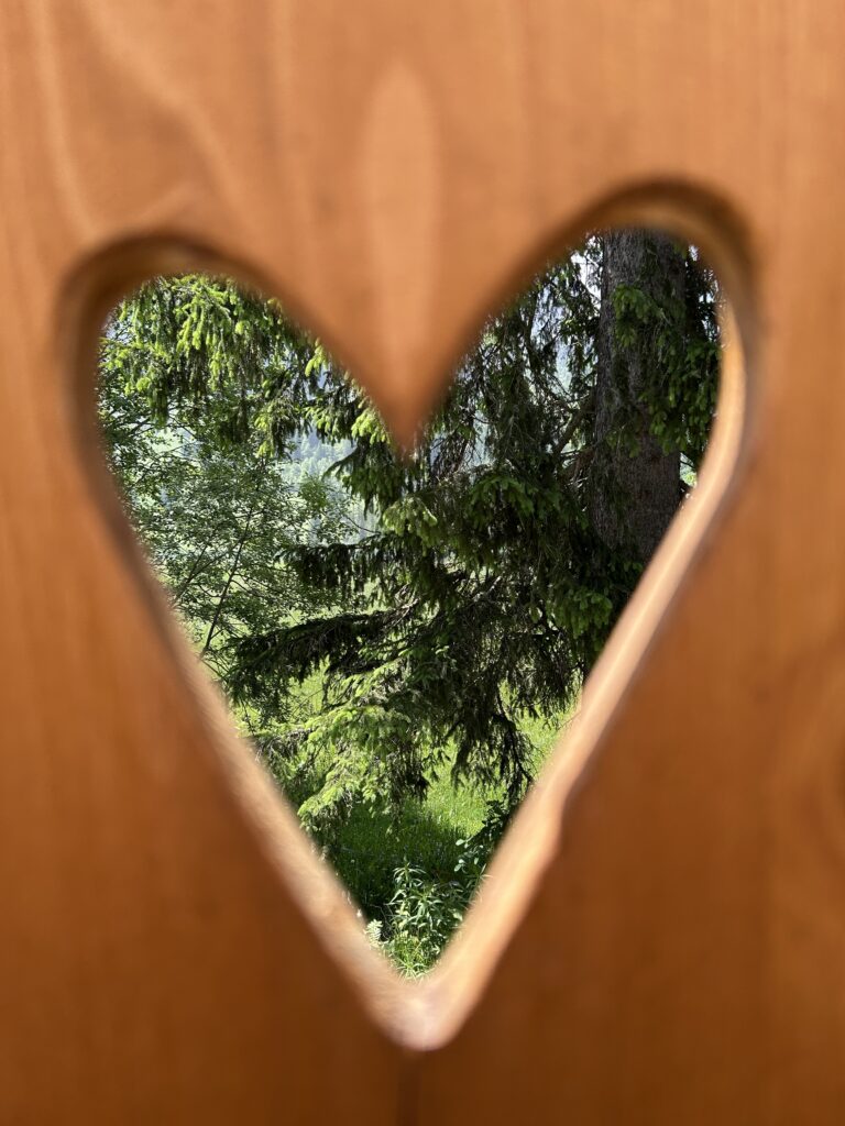 Blick aus dem Kompotoi