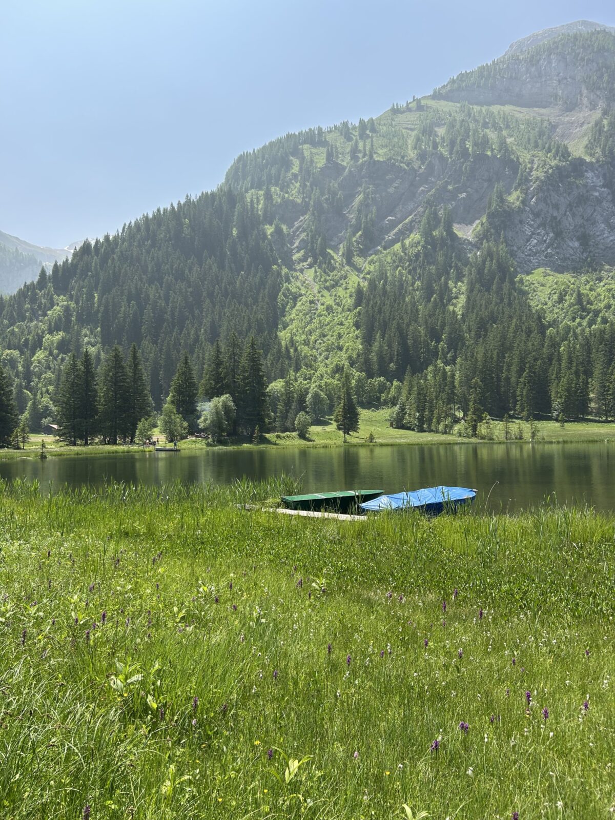 Lauenensee