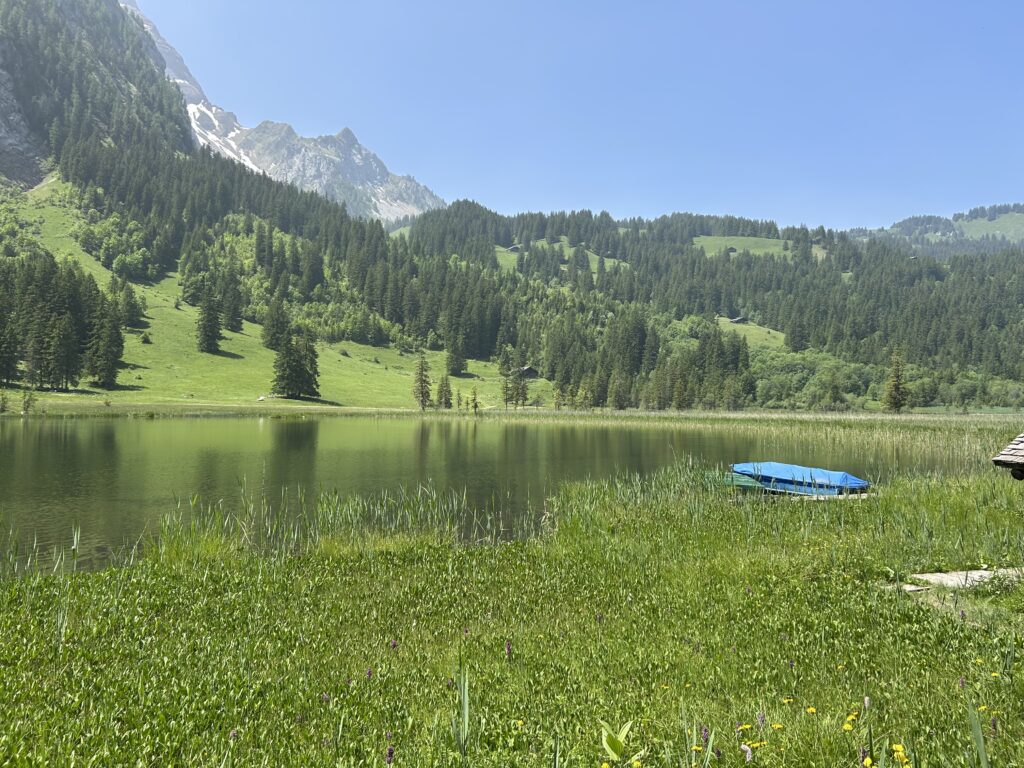 Lauenensee / Louenesee