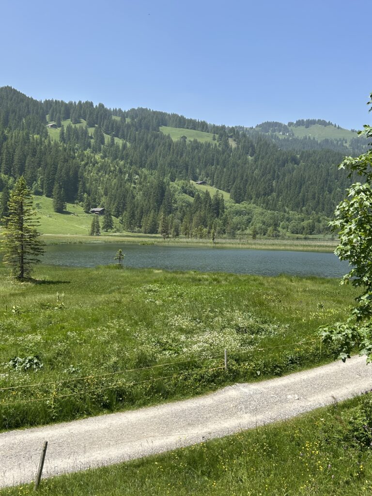 I weiss no guet wie 'n I ha chönne vergässe
dert hinger bim Louenesee
