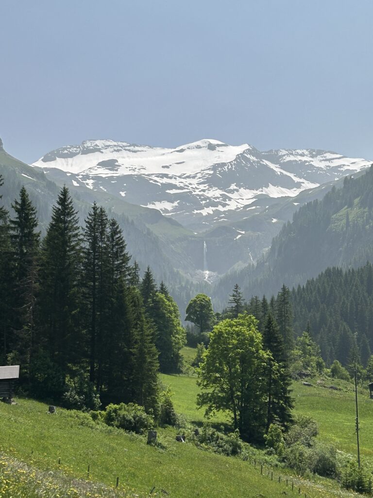 Noch ein Blick zurück zu den Schneebergen