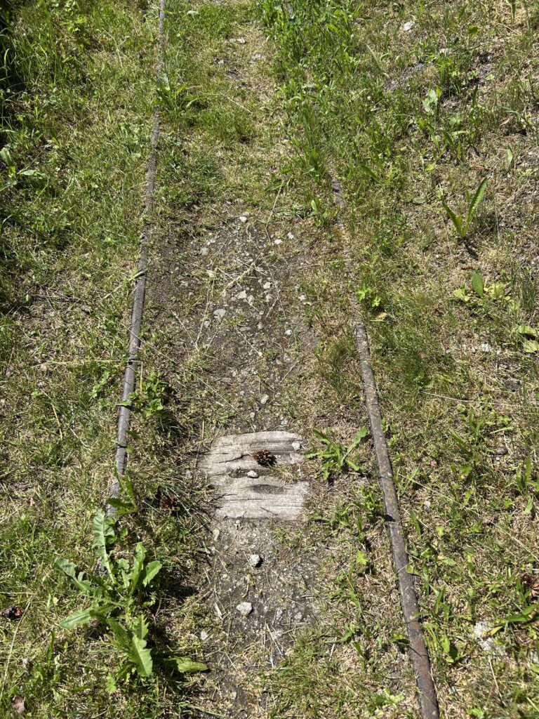 Überwachsenes Trasse der Bergbaubahn