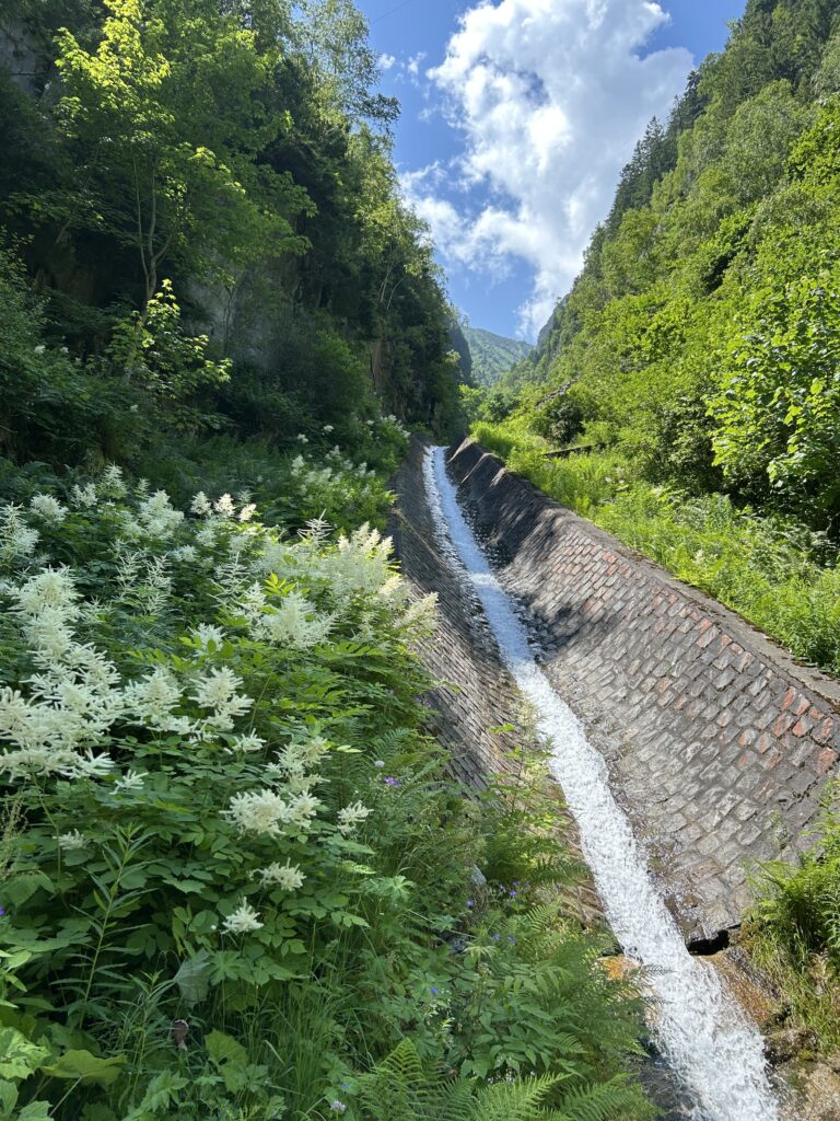 Gefasstes Wasser aus dem Nextal