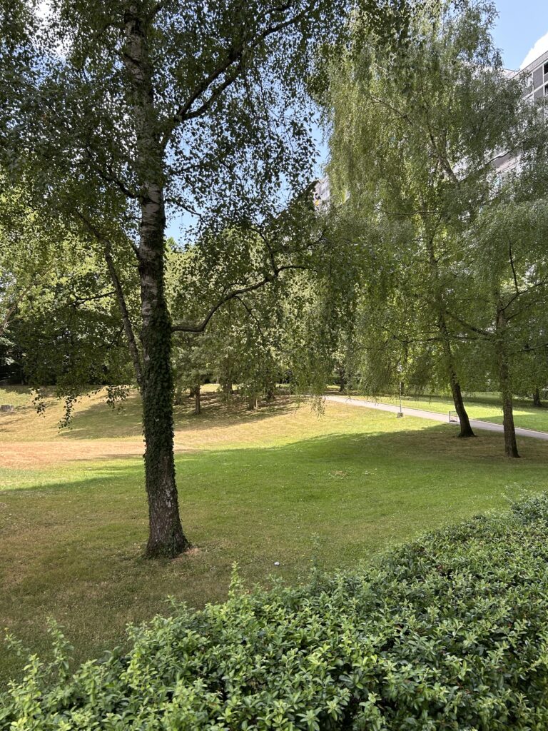 Im Park