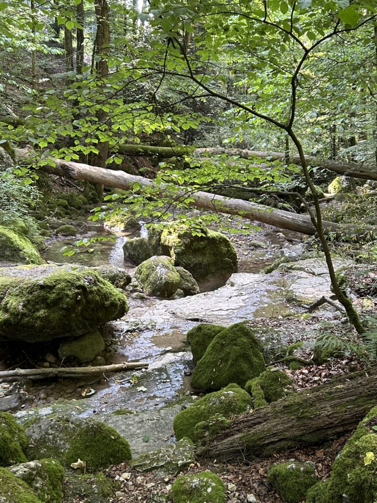 Es rauscht der Bach