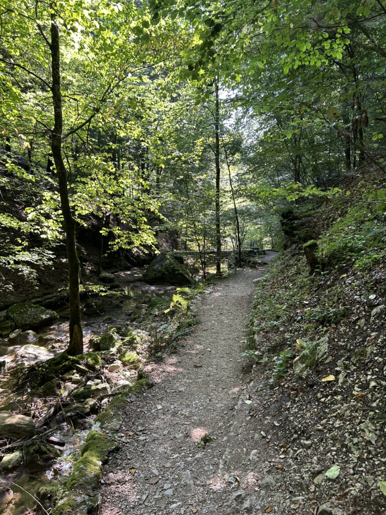 Wanderweg in der Schlucht