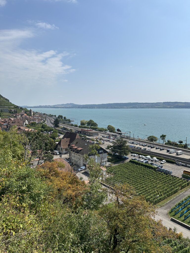 Blick über die Rebberge