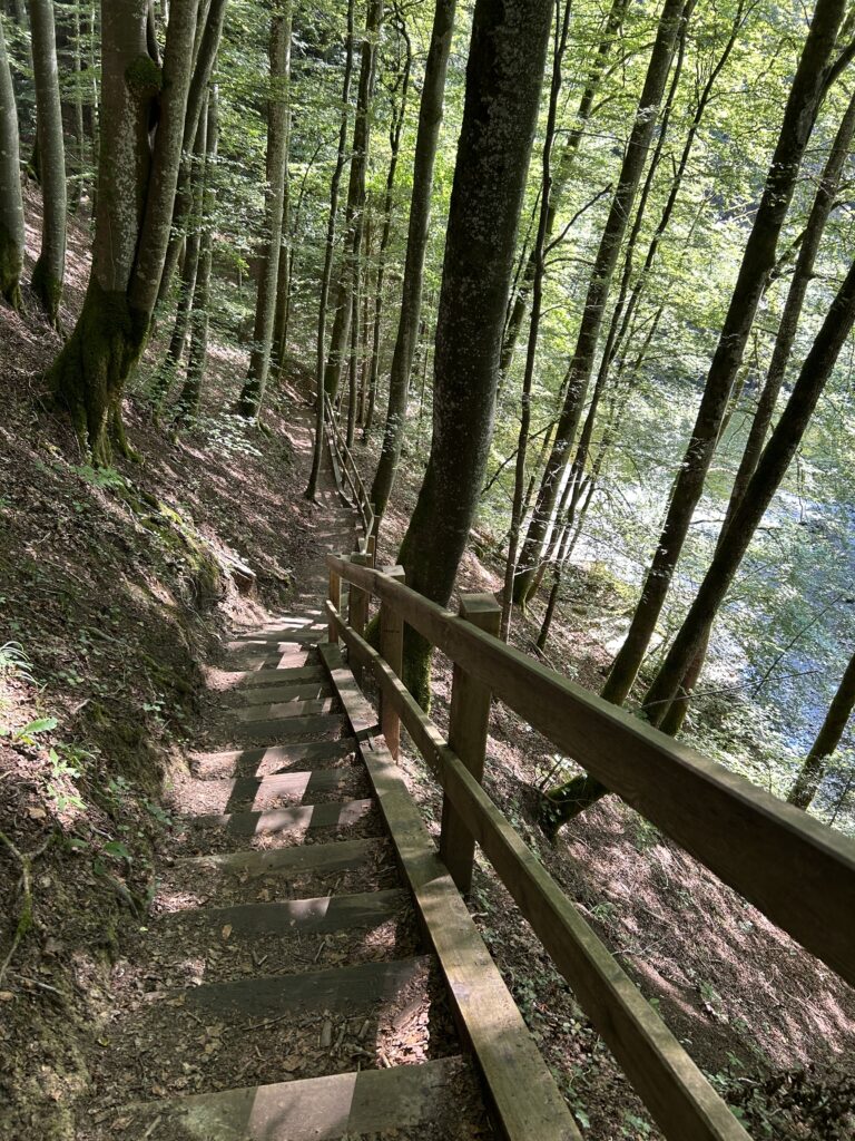 Treppab in die Schlucht