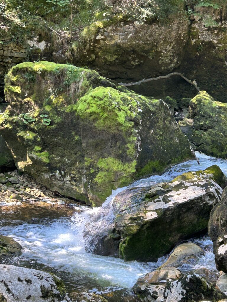 Moosbewachsene Felsen