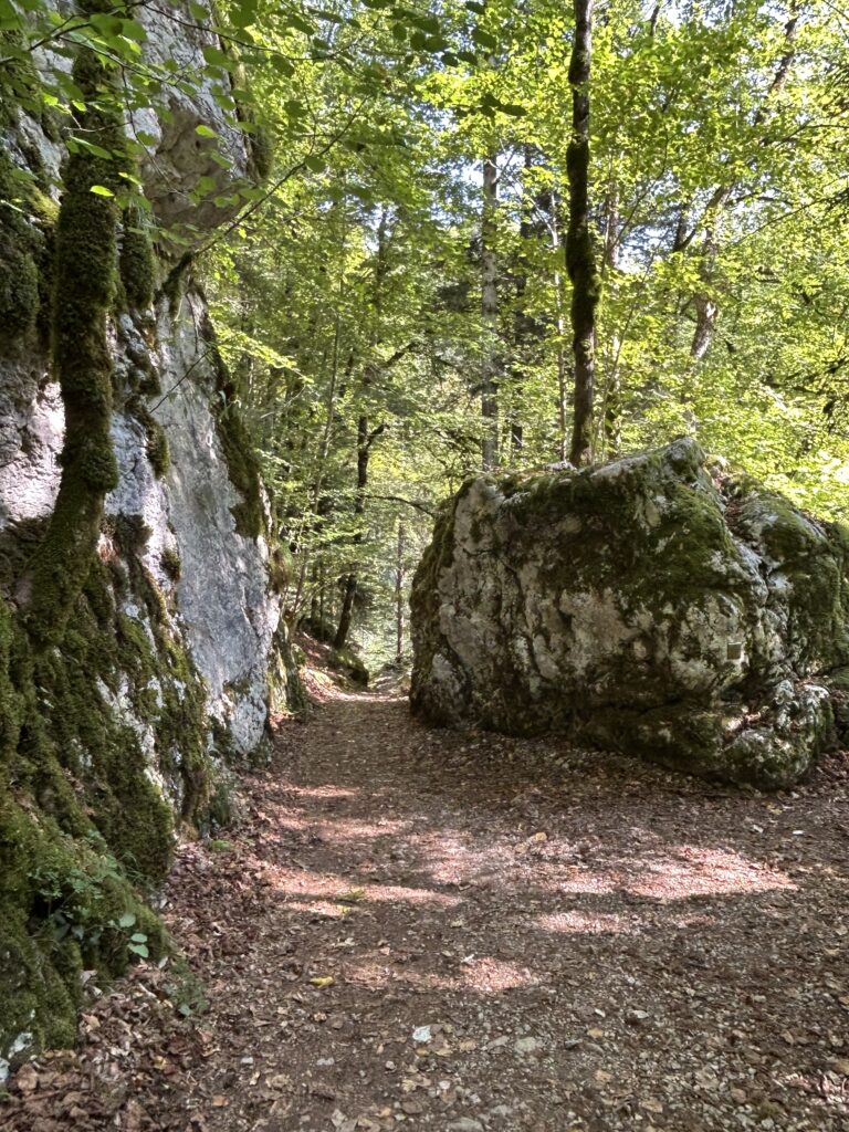 Wanderweg zwischen den Felsen hindurch