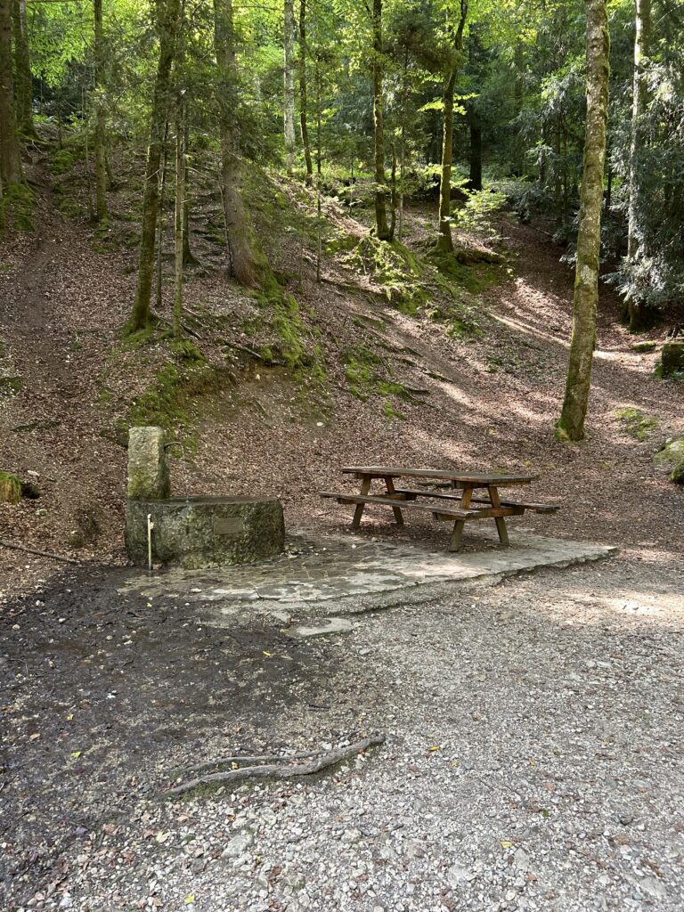Schattiger Picknick-Platz