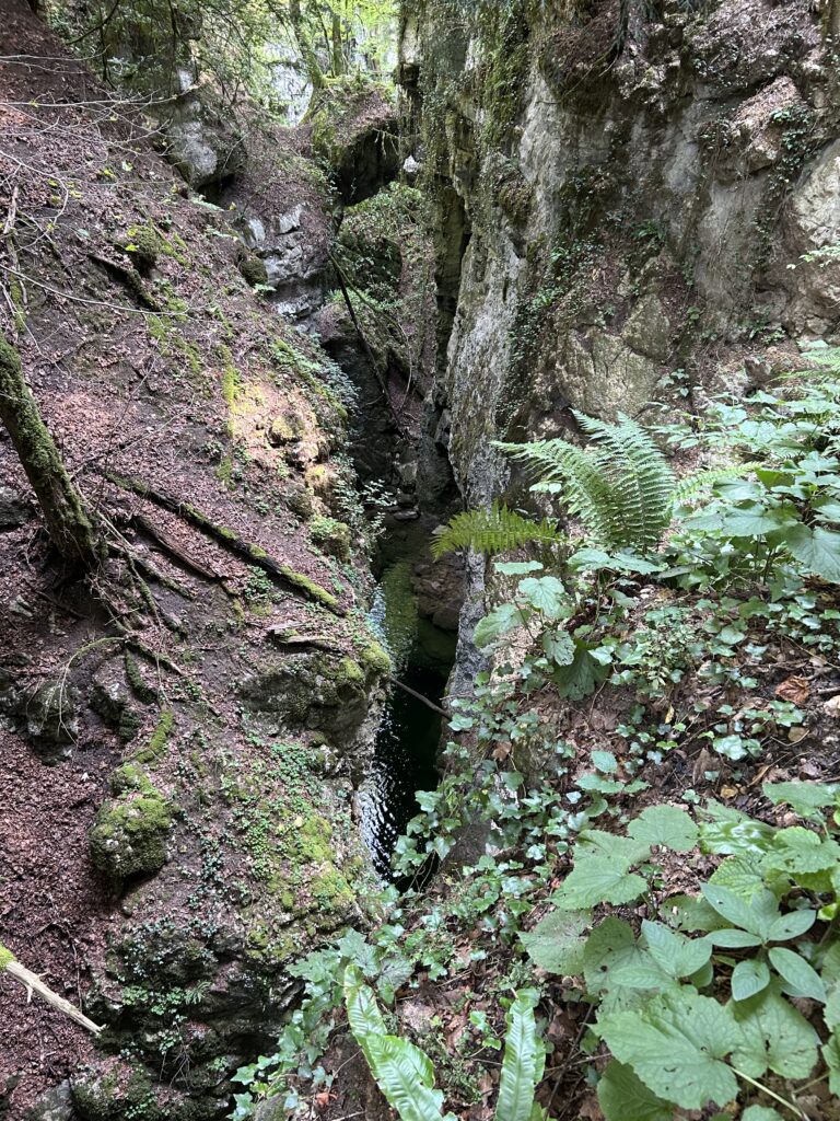 Enger Wasserlauf