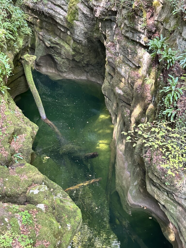 Einladendes Wasserbecken