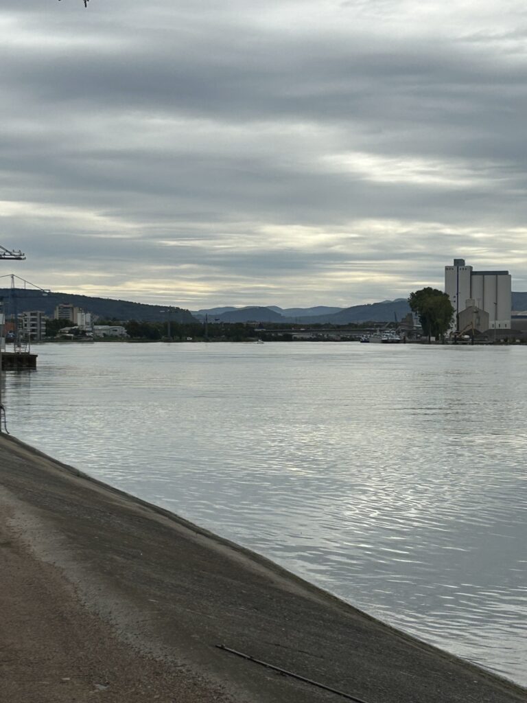 Die Palmrainbrücke im Hintergrund