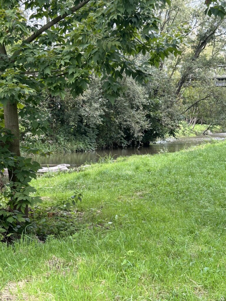 Kander-Ufer ohne Angler